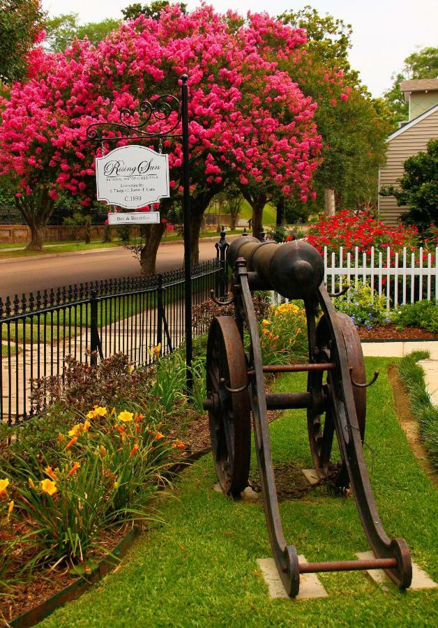 Rising Sun Bed And Breakfast Natchez Exterior photo